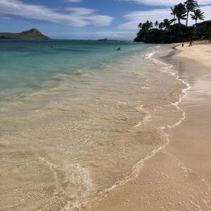 Meet your Posher, Heidi